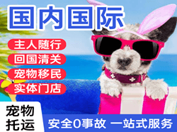 九江庐山航空空运国际宠物托运 【国